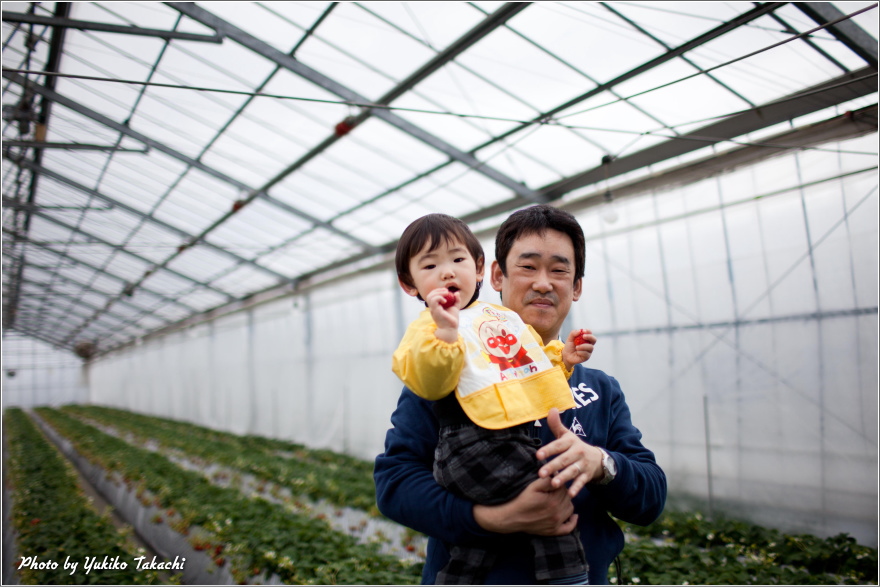 Green house of Kawatsura Strawberry Farm