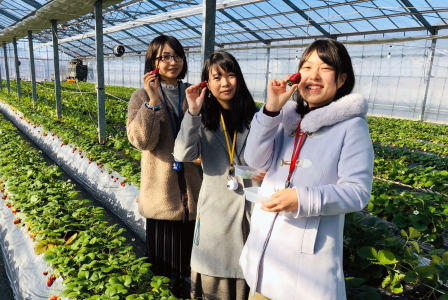 かわつら苺園お客様