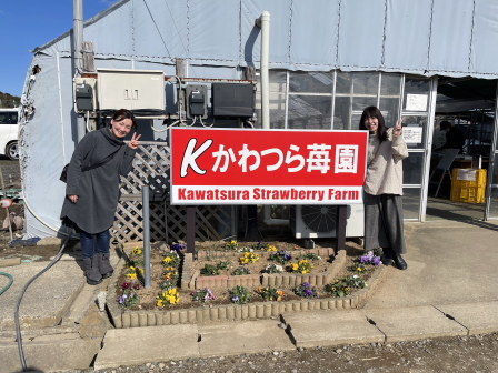 かわつら苺園お客様