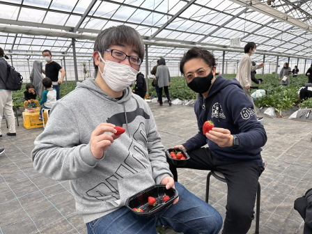 かわつら苺園お客様